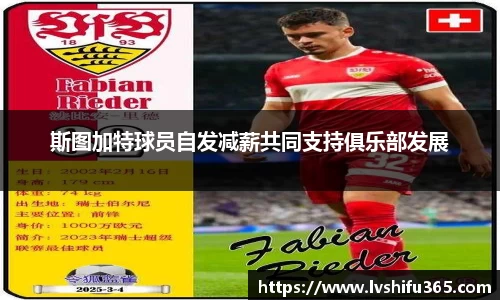 bsports必一运动