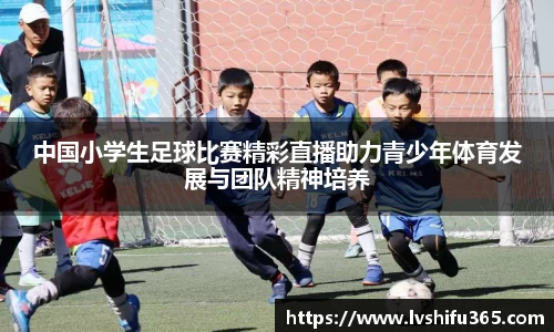 bsports必一运动