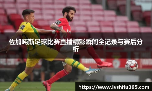 bsports必一运动